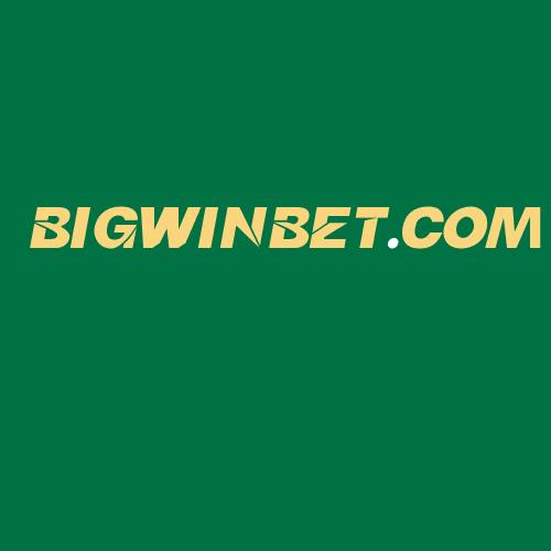 Logo da BIGWINBET